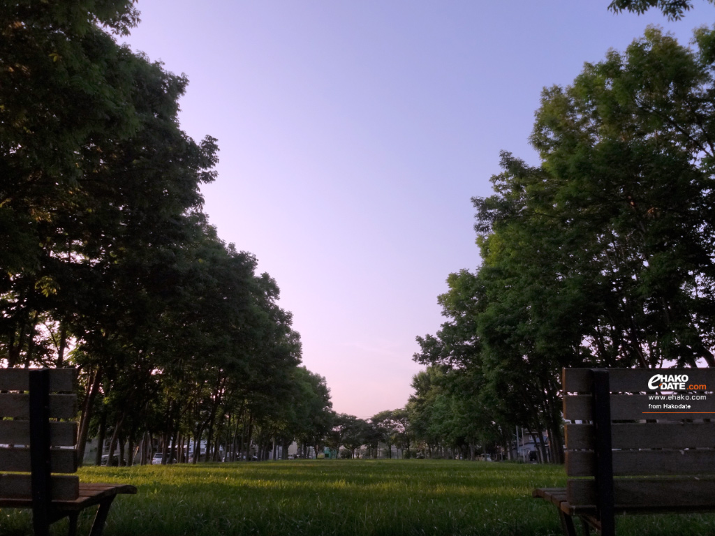 夕暮れ、芝生の広場